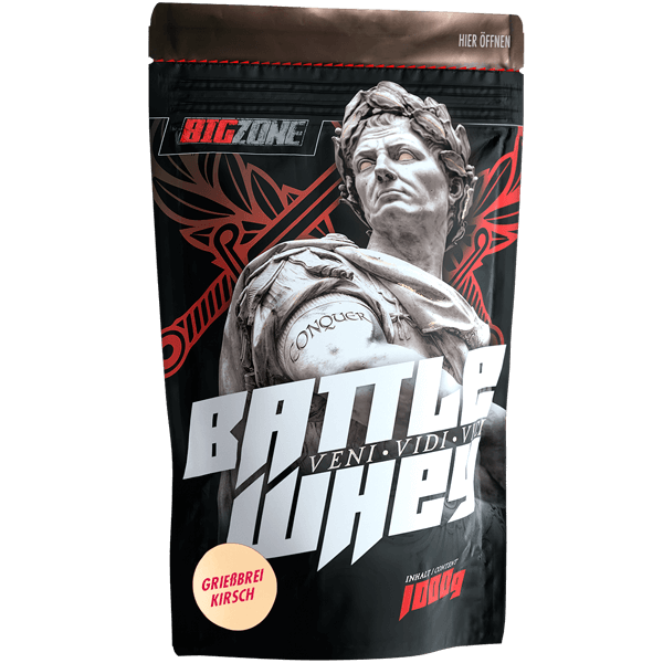 Big Zone | Battle Whey - 1000g