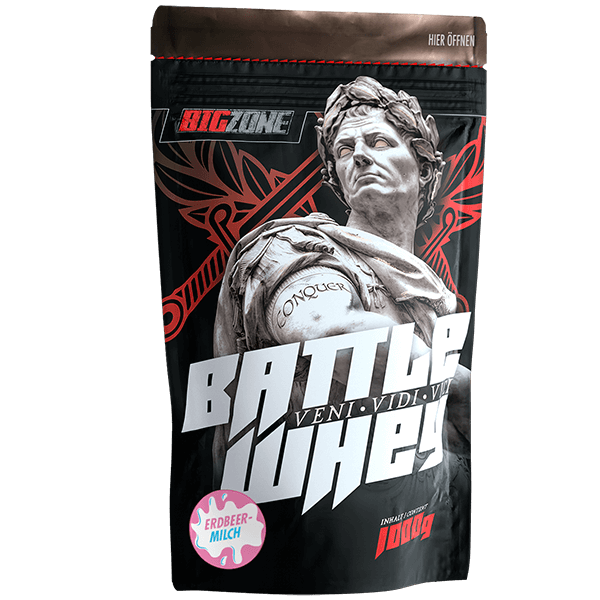 Big Zone | Battle Whey - 1000g